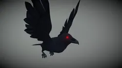 American Crow "Parliament" Animations