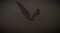 Little Brown Myotis "Parliament" Animations