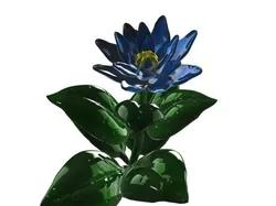 Lotos Flower