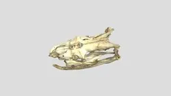 BIOL 300021 Python sp