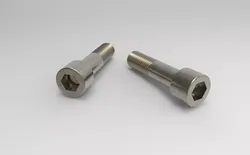 BrugolaM12 two stainless steel bolts 3D model