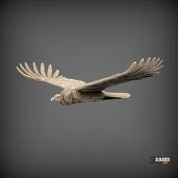 Condor is flying 3D printed model