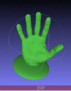 Hand