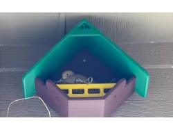 Large Dovey House design for nesting doves.