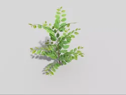 Low poly Plant Low-poly 3D model