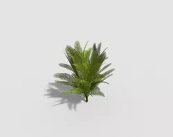 low poly tropical tree Low-poly 3D model