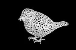 Voronoi Java(RiceBird) Sparrow