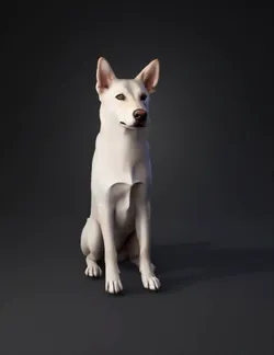 white dog reference photos showing multiple views for 3D modeling foc
