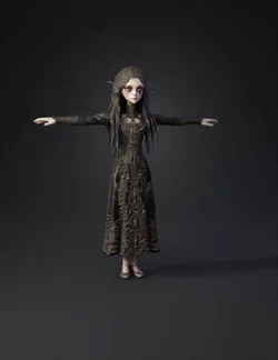dark ornate gown worn by fantasy character with intricate embroidery a