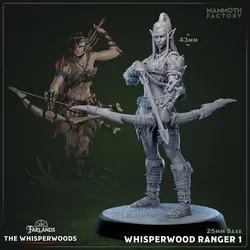 Whisperwood Ranger - Wood Elf
